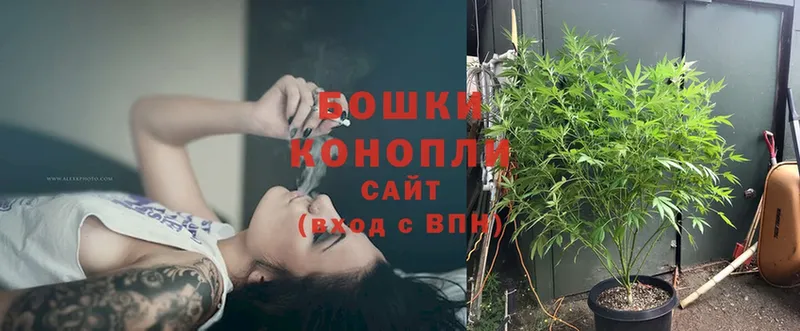 Шишки марихуана THC 21%  Благовещенск 